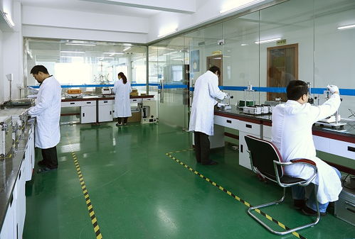 本地服務(wù)全國(guó)連，黑河五大連池檢測(cè)到位更省心——“機(jī)構(gòu)篩選避坑實(shí)訓(xùn)專題之服務(wù)距離紅利工具包校準(zhǔn)說(shuō)明書×版情報(bào)分析現(xiàn)場(chǎng)解讀